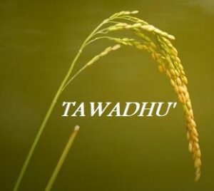 The meaning of Tawadhu - Explanation